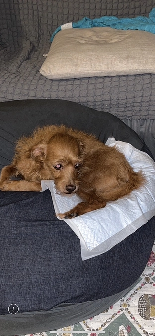 残り少なくなりました。