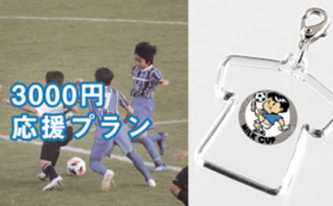 3000円応援プラン