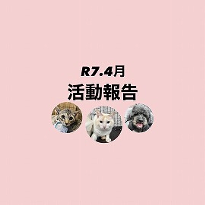 R７．４月活動報告