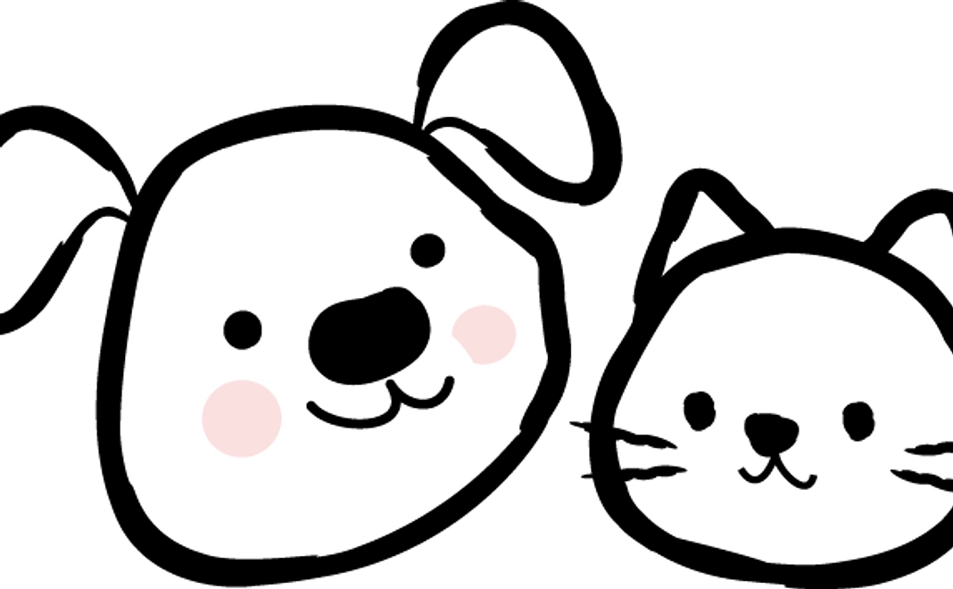 お礼のメール＆活動報告