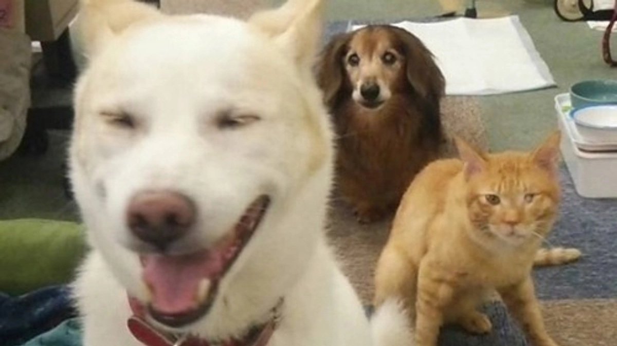 【残りあと6日！目指せ25日までに200万円！】皆様とご一緒に達成のゴールテープを切りたい！