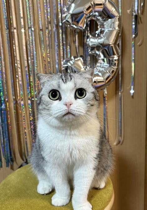 メンバー紹介⑤