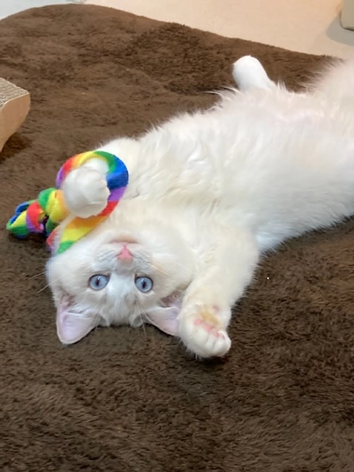 投薬１９日目(2023.3.31)