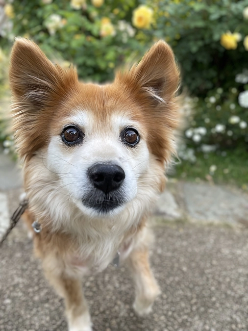 元気に過ごしています