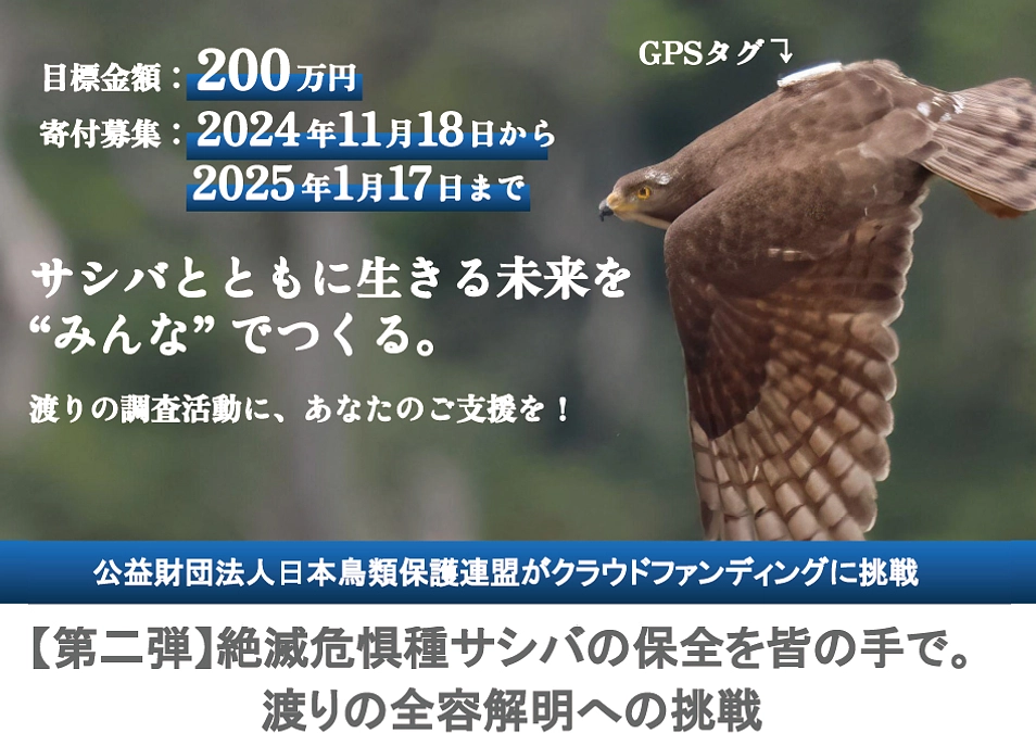 クラウドファンディング挑戦のお知らせ