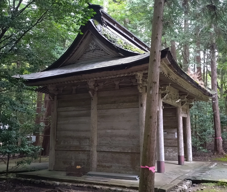 本日の若狭彦神社の様子を改めてお知らせします