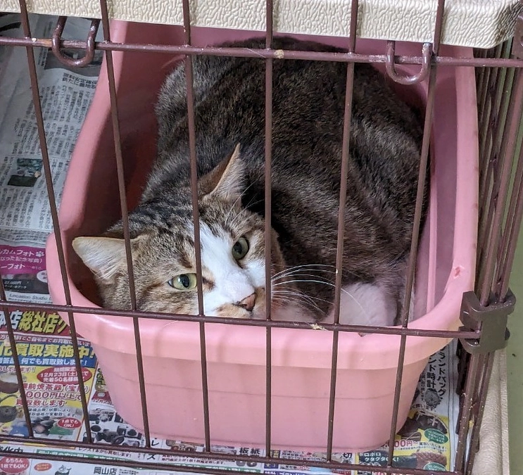 パンフレットの発行が大変遅くなってしまい、申し訳ありません。現在、急ぎ編集中です！