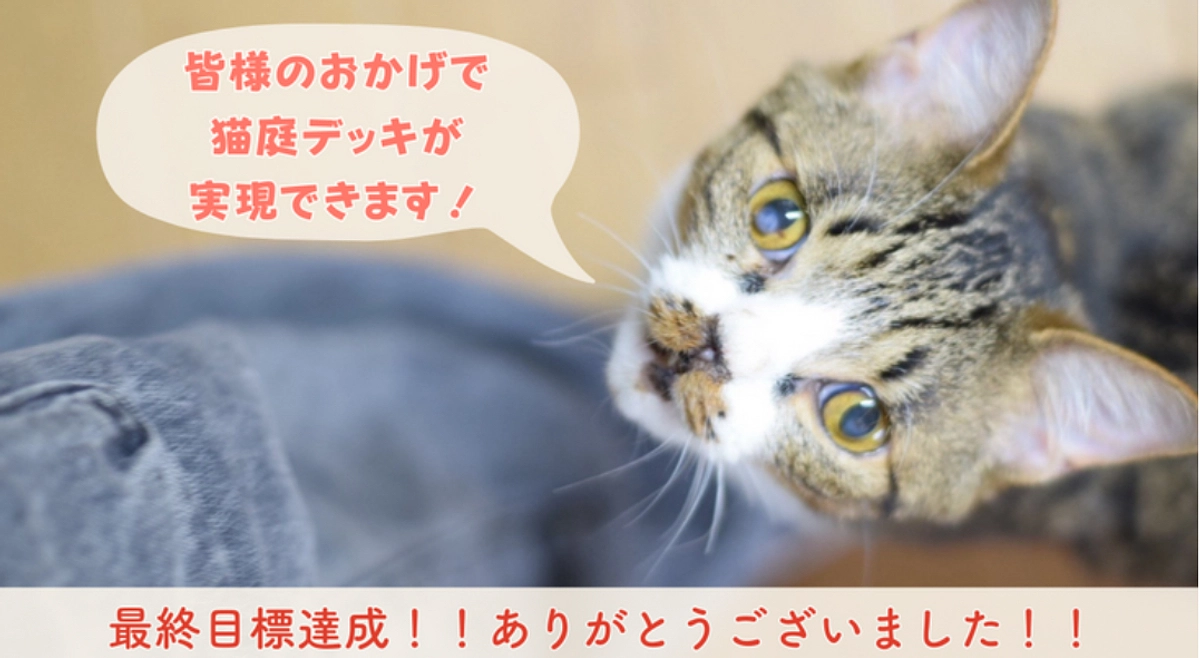 【祝！】最終目標達成しました！！猫庭デッキを2階の子たちにプレゼントします！ありがとうございました！