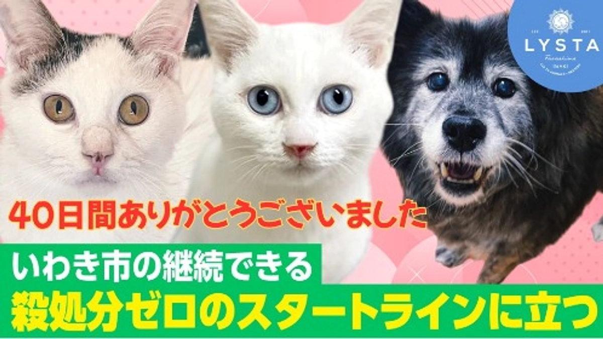 ≪終了≫ご支援をありがとうございました！