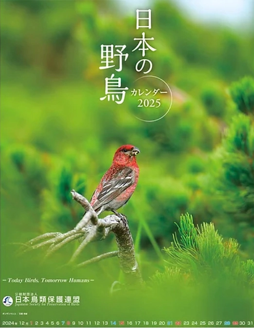 【リターンのご紹介】カレンダー