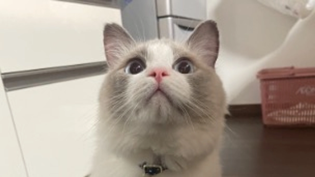 あと6日となりました！！