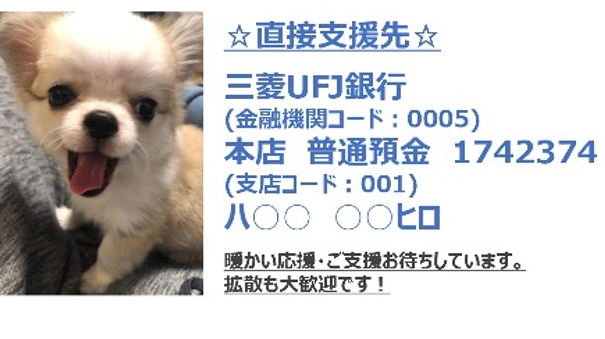 ！！直接支援先を作りました！！