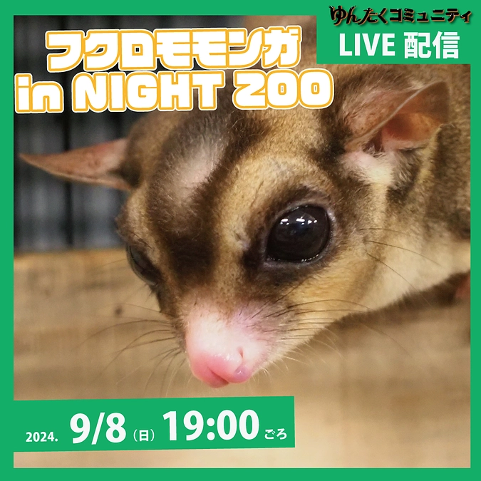ゆんたくコミュニティ限定ライブ配信「フクロモモンガ in NIGHT ZOO」