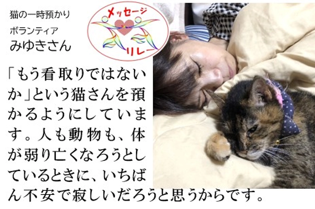 リレー１９．預かり猫５匹。通院時間を確保するために仕事も「夜勤」にしています。