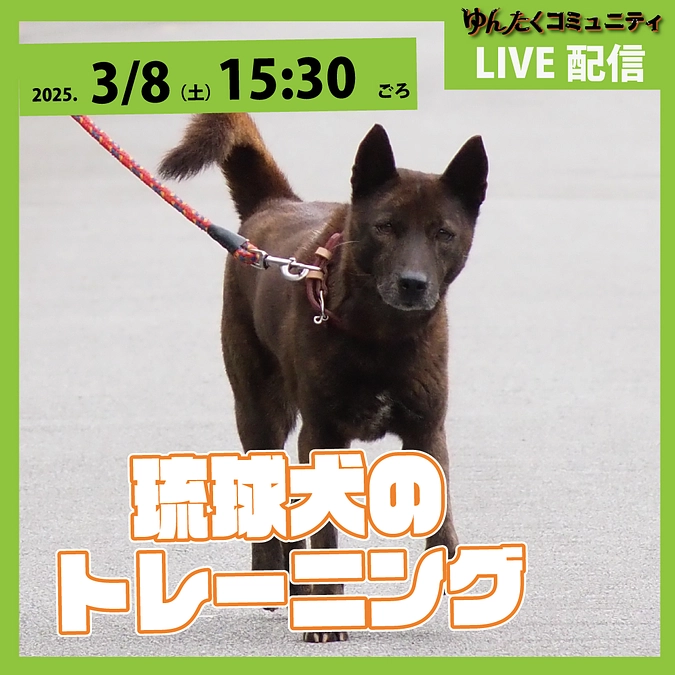 ゆんたくコミュニティ限定ライブ配信「琉球犬のトレーニング」