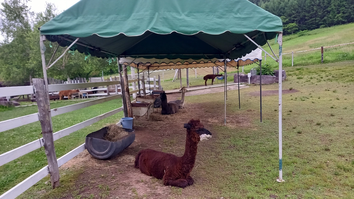 工事　2~5日の状況