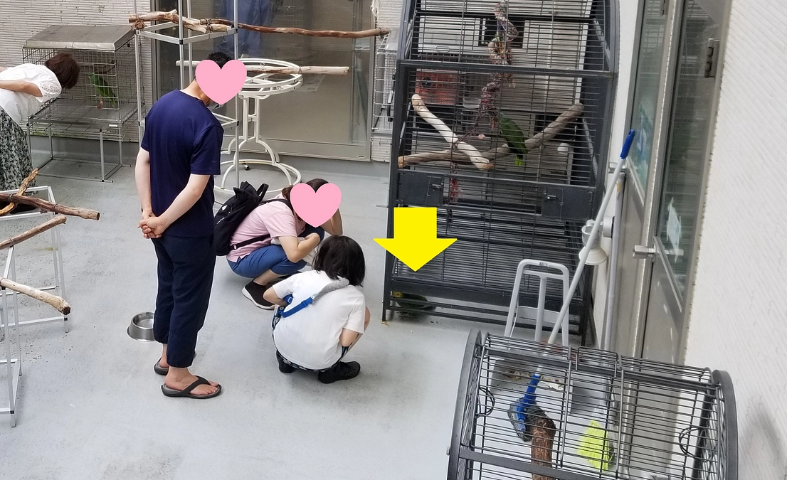 本日は施設の一般開放日でした