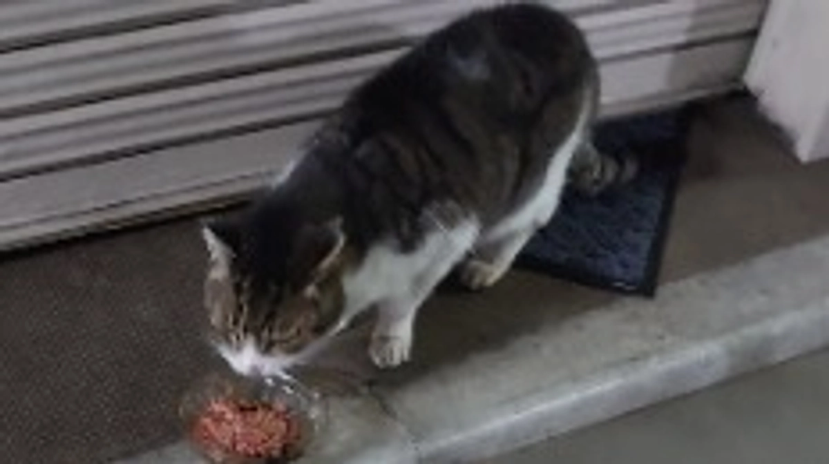 支援者の皆様へ