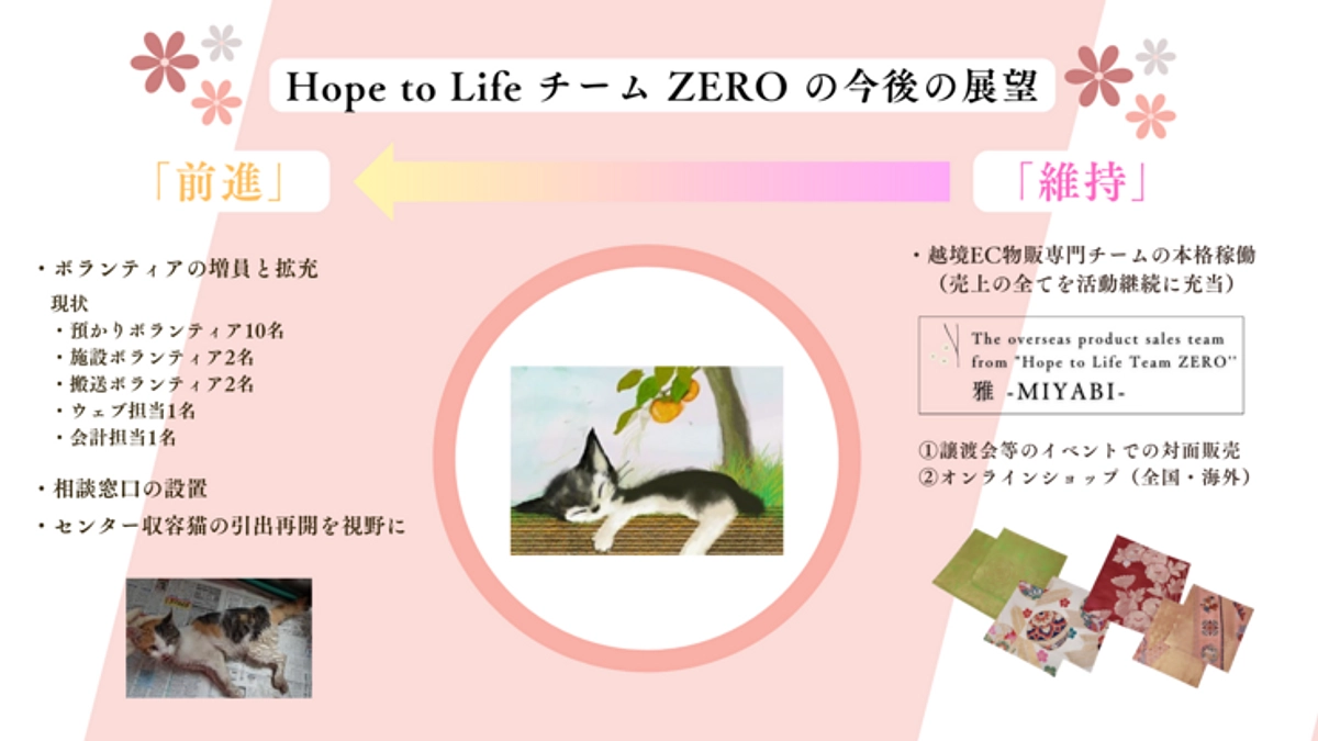 【4月18日までに250万円へ✨】Hope to LifeチームZEROの今後の展望