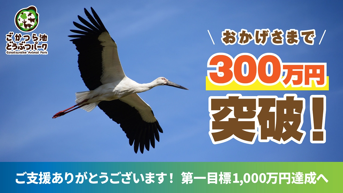 目標金額の30％を達成しました！！！