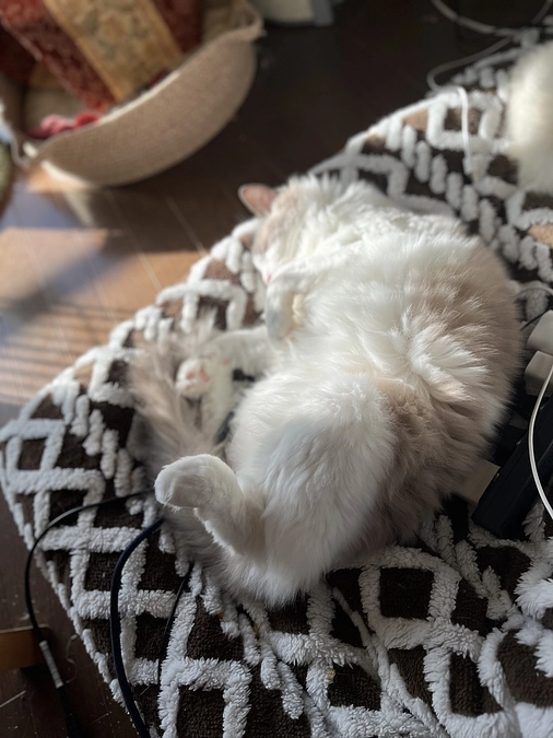 血液検査結果を聞きました