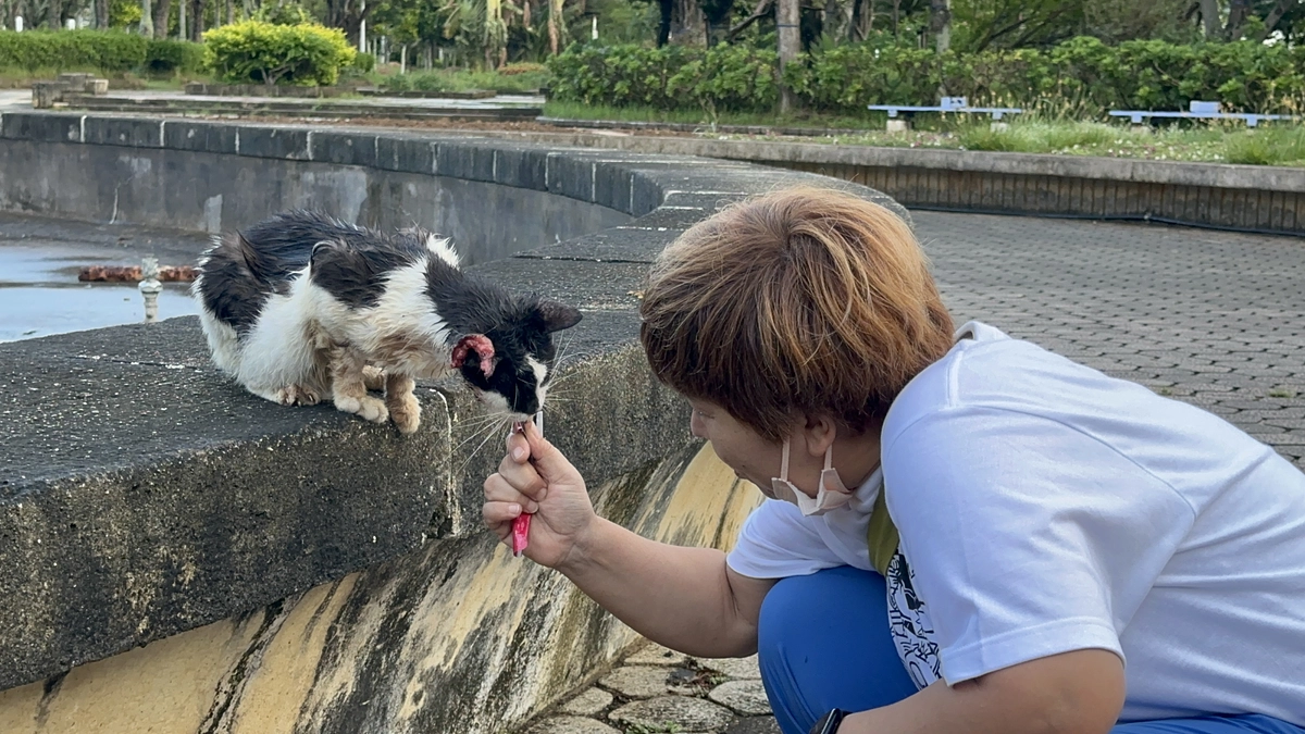 フェイス夜間動物病院をどうしても開院したい思いを改めて。