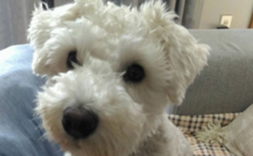 【全力応援コース】山本展央 ブロンズサポーター!