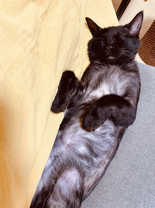 あおむけ寝と顔の粉