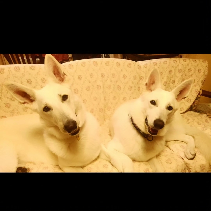 ★クラウドファンディング御協力お礼★