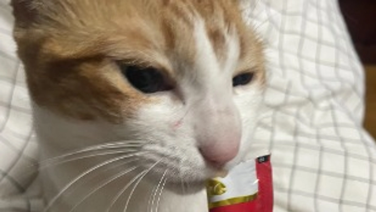 なんかあった件①