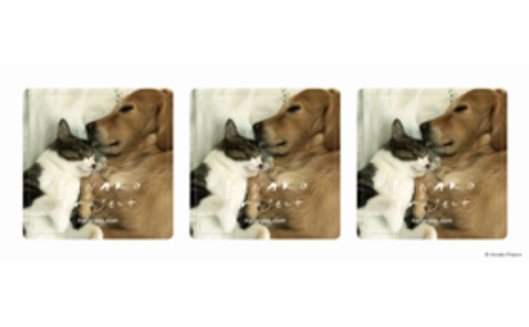 【感謝を込めて】ゆりごろう王国シール 1枚コース