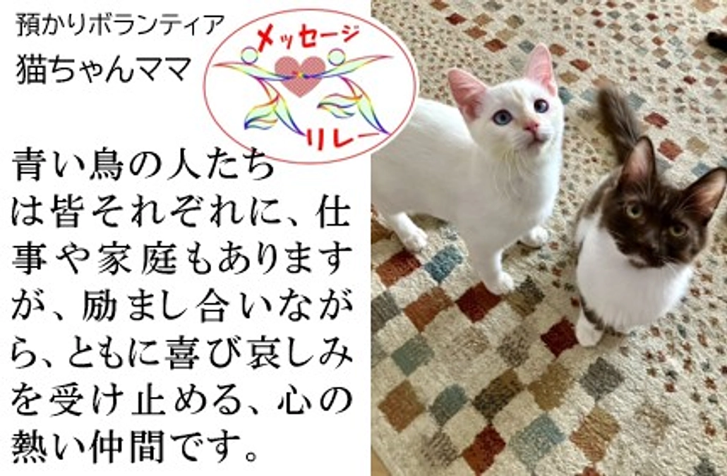 リレー２１．尊い命と関わり、命の尊厳と向き合う日々です。