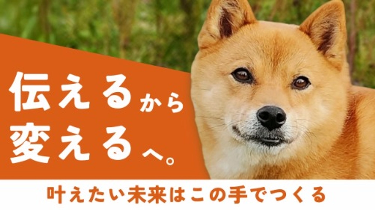 【ついに新プロジェクトスタート】どうか、保護犬問題に終止符を打つためにご支援をお願いいたします！