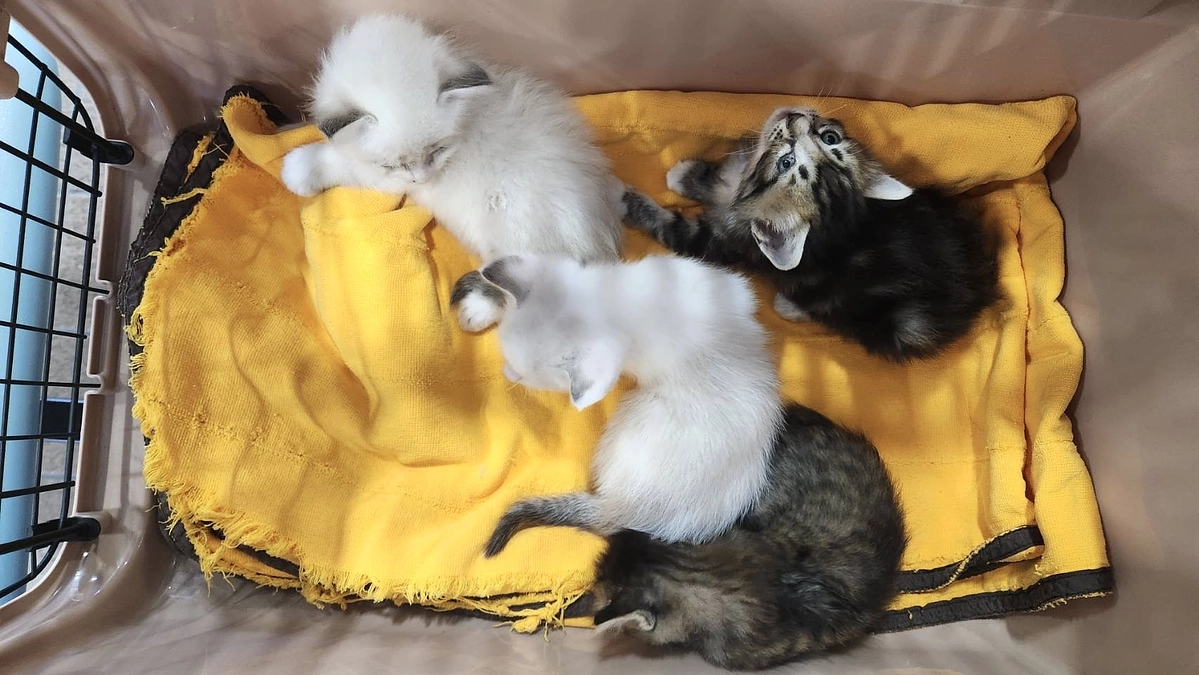 達成に向けて引き続き宜しくお願い致します（達成率　現在７１%）