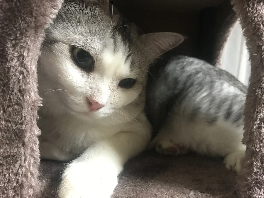 残り2日となりました。今後の予定について