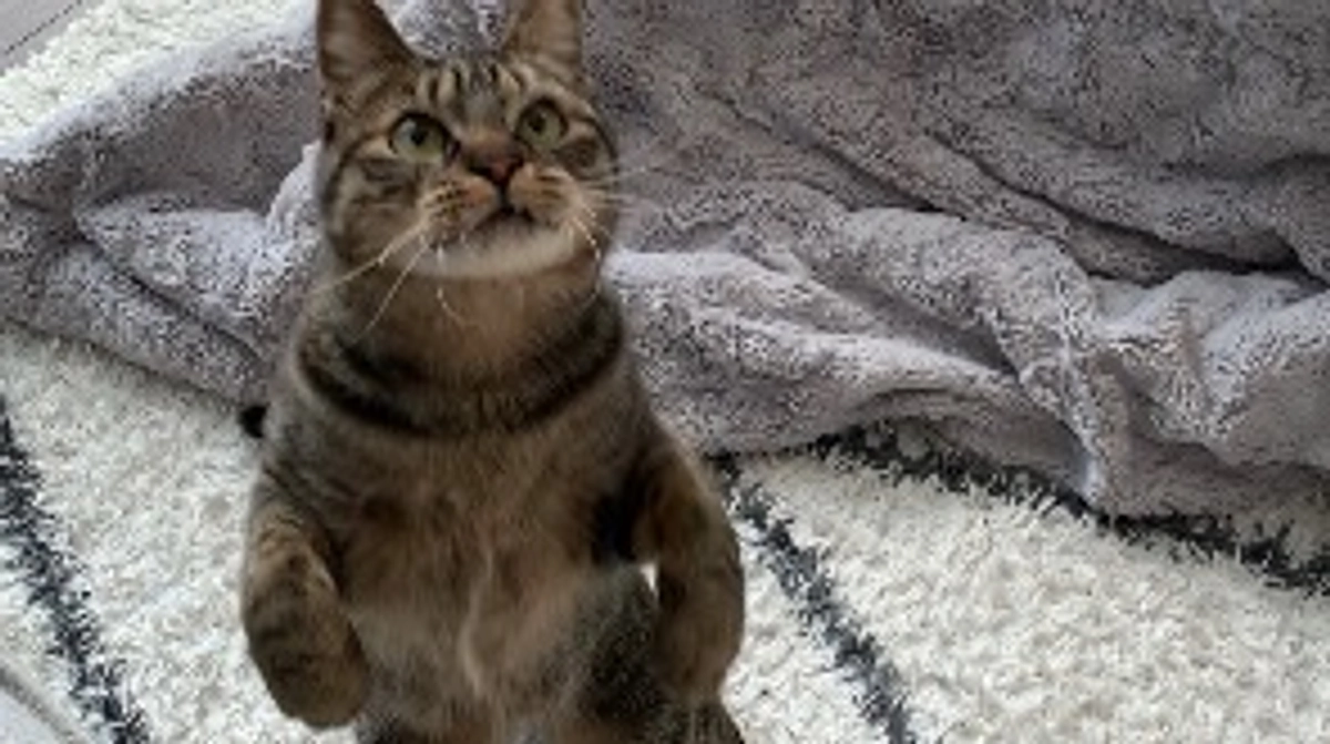 終了日まで残り2日