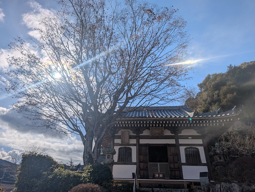 本堂の修復が完了しました