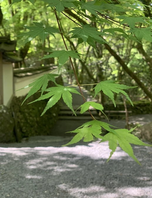 【リターン紹介　ご朱印とお守り】