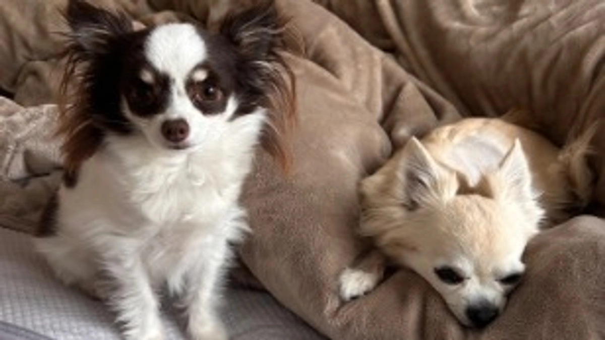 2回目の病院でした！