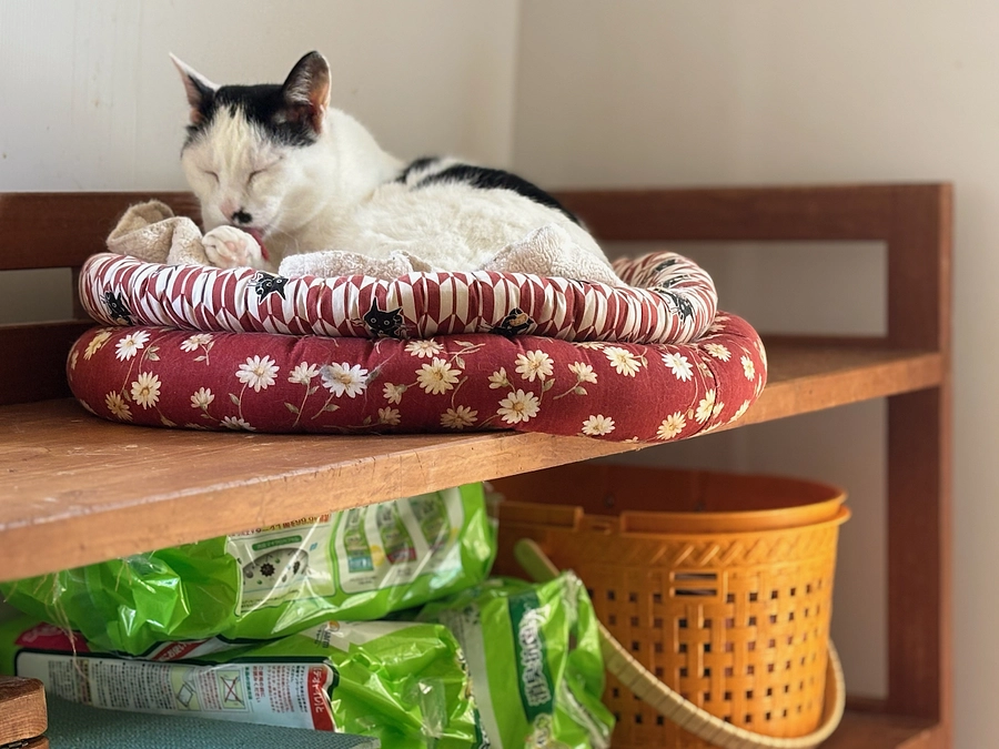 お礼と報告/２０２５年４月３０日