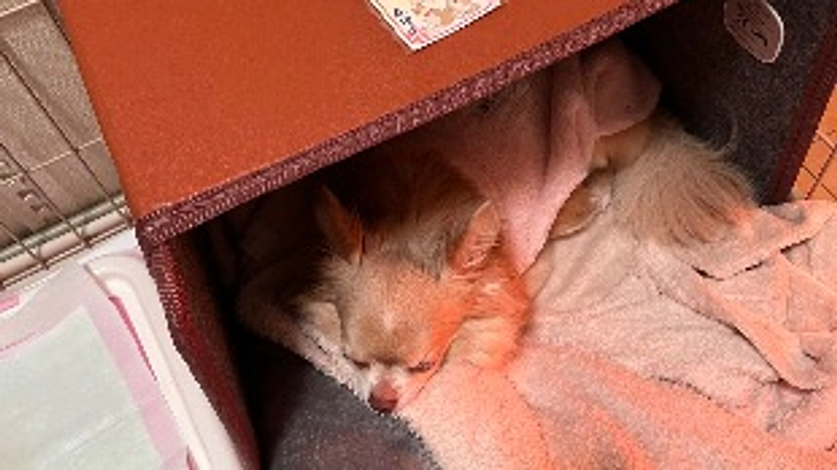 残り1週間となりました💦