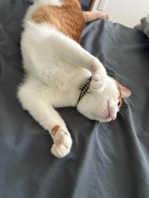 おはようございます☀️*。