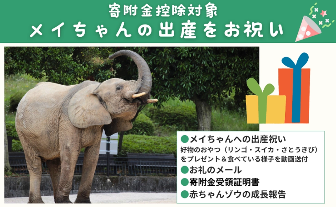 【寄附金控除対象】メイちゃんの出産お祝いコース