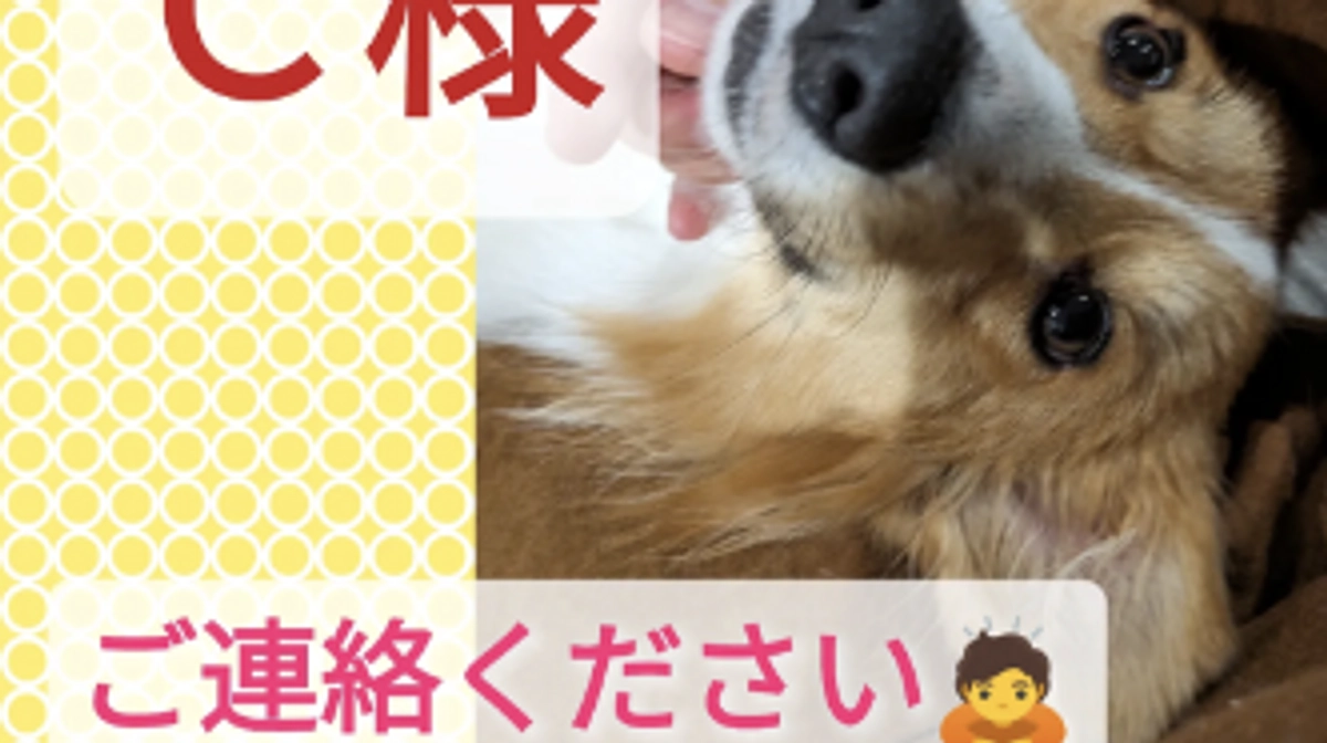 8/7ゆうちょ直接支援　Ｃ様