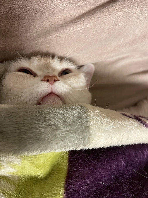 残り24時間を切りました‼️