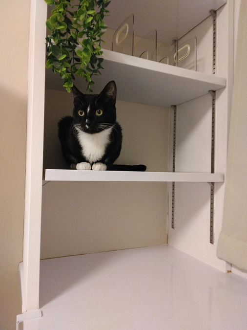 2/14はなちゃんの様子