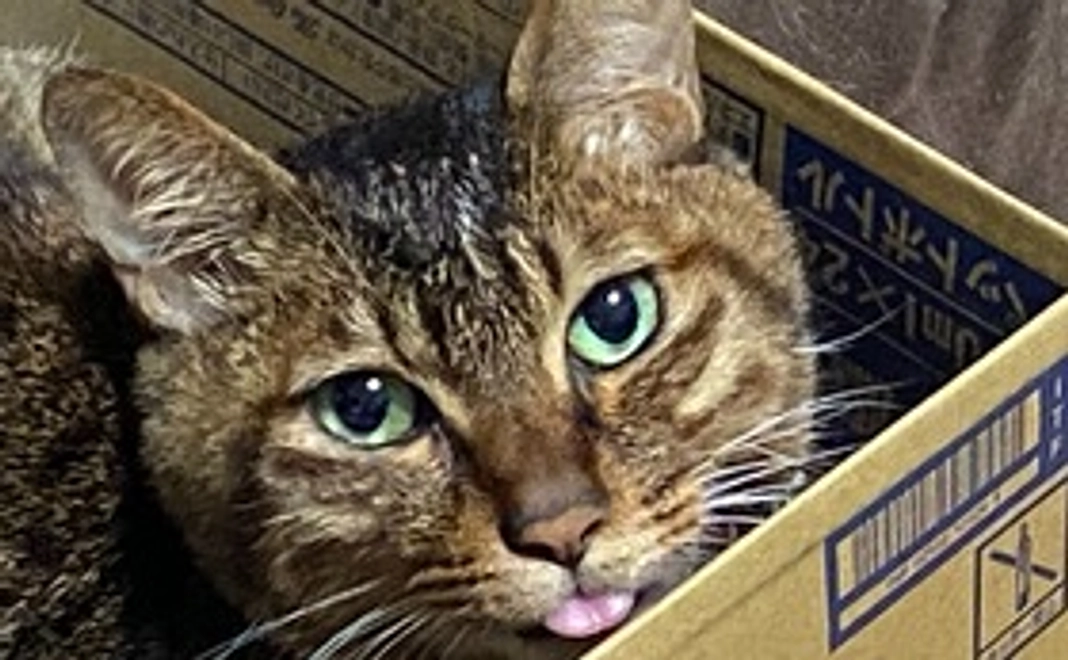 ずっと一緒にいよう