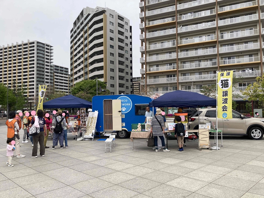 トレーラー効果