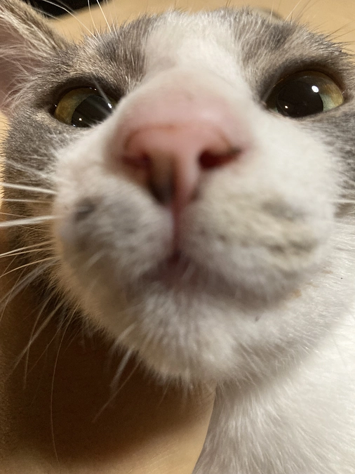 動画で見てほしいぐらい