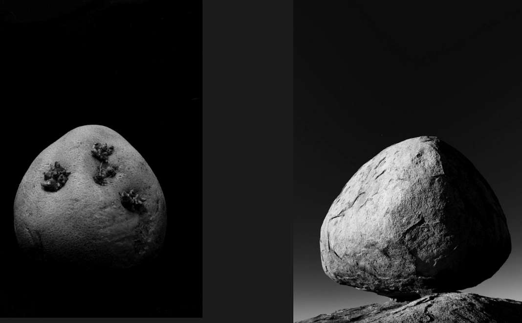 写真集　KATACHI　プレゼント